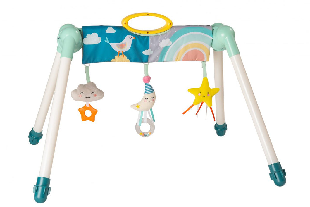 Taf Toys Mini moon take-to-play baby gym