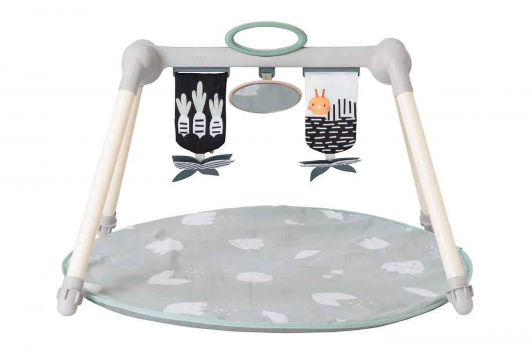 Taf Toys Urban garden foldable baby gym